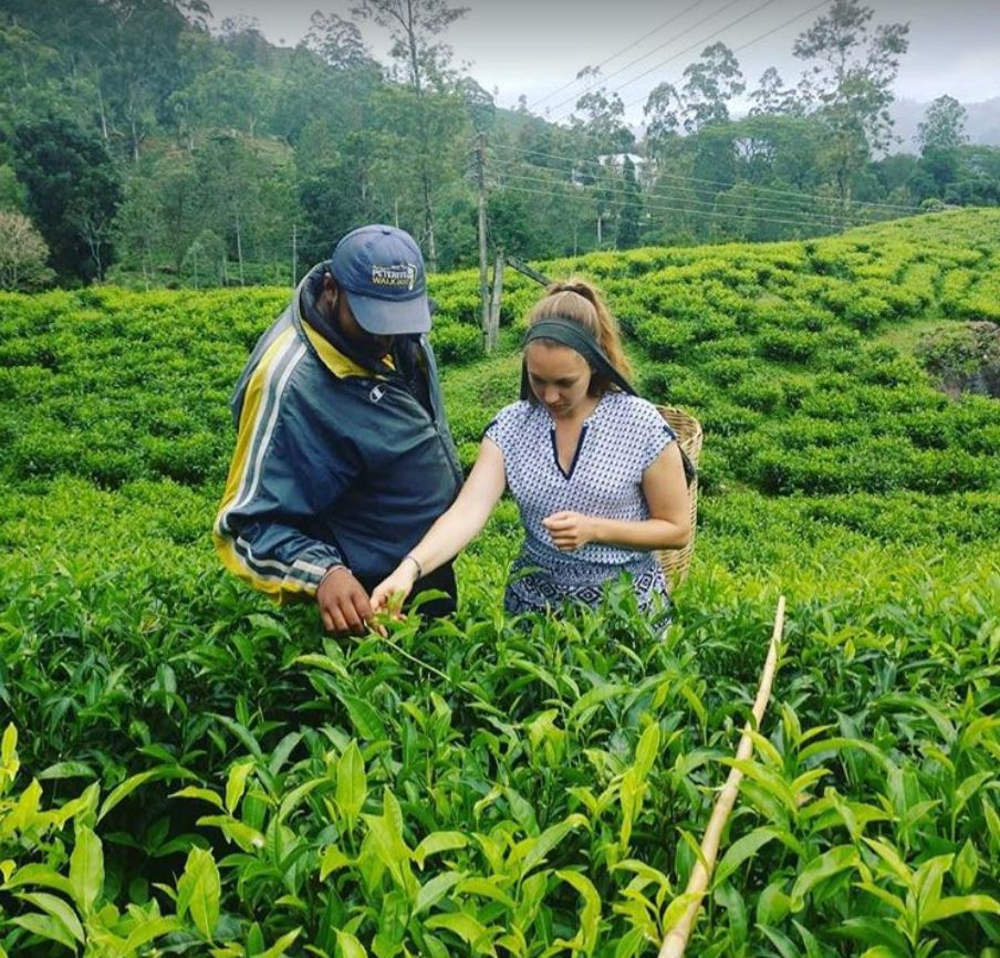 ceylon nuwara eliya